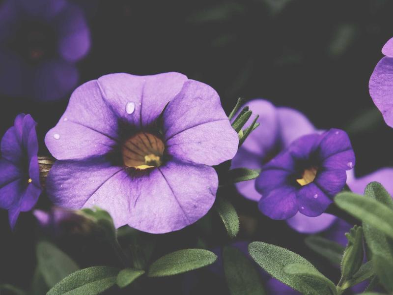 sudoku multiple solutions screenshot 4